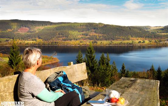 Mittagspause im Schwarzwald wie aus dem Bilderbuch
