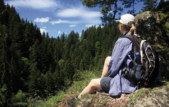 Wandern durch den Schwarzwald