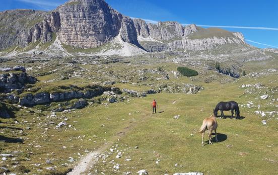 Enjoy spectacular hiking