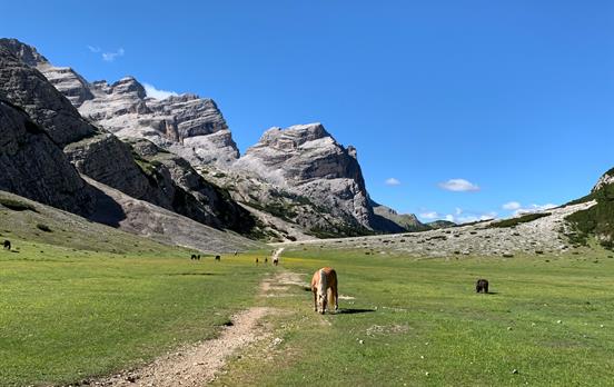 Passo Tageda between Fanes and Capanna Alpina