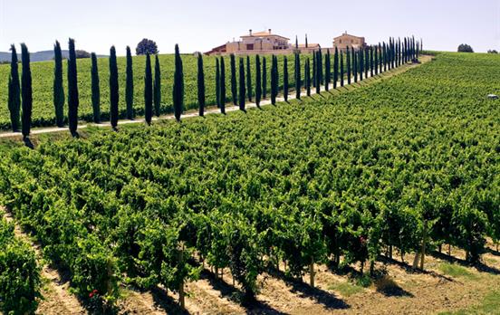 A pure Tuscan feeling