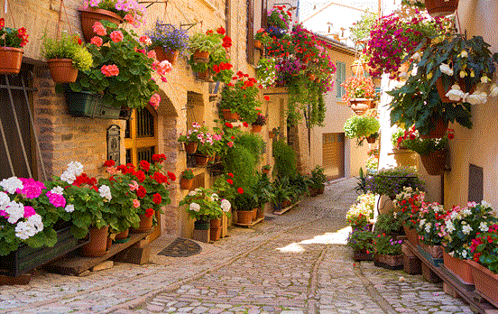Flowers in Spello, famed for its flower festival