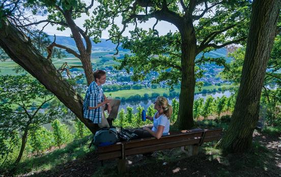 Ein Päusschen oberhalb der Mosel