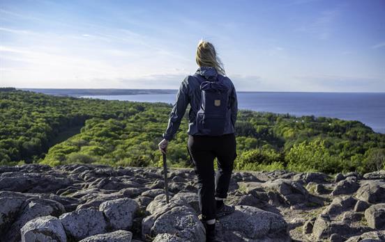 Küstenausblick Südschweden
