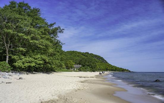 Strand im Stenshuvud Nationalpark