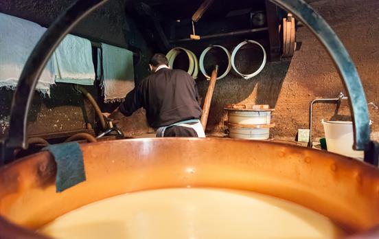 This is a cheese-lovers dream