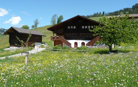 Typical wooden chalets