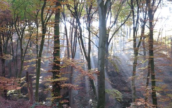 Das Saarland, auch im Herbst immer eine Reise wert
