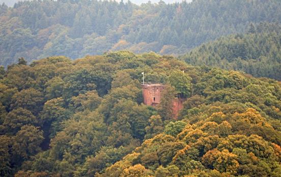 Die Burg Montclair inmitten der Baumkronen