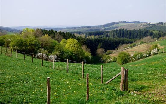 Der Saar-Hunsrück-Steig im Saarland