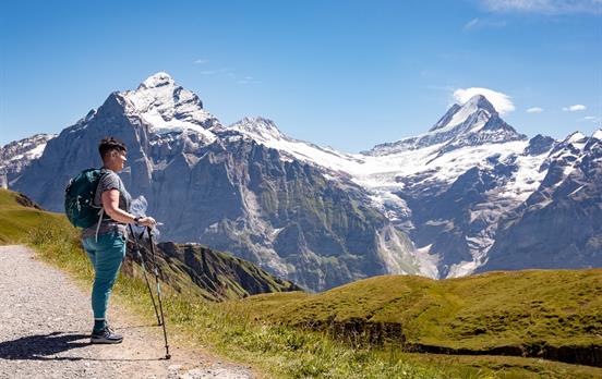 Bernese Oberland Walker