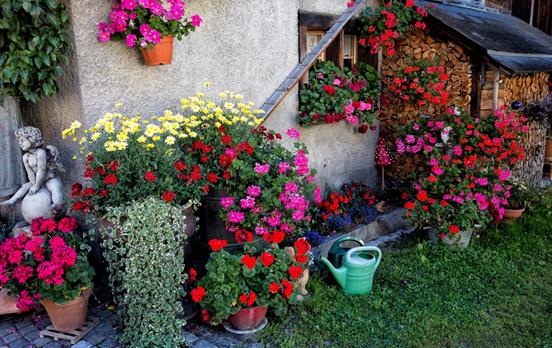 Flower filled gardens