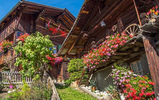 Typical Swiss Chalets