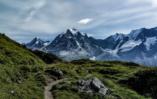 Trail
