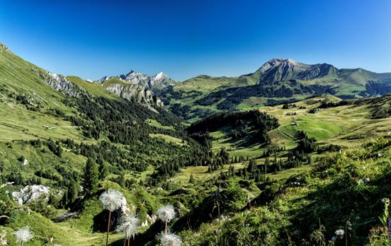 Views along the Via Alpina