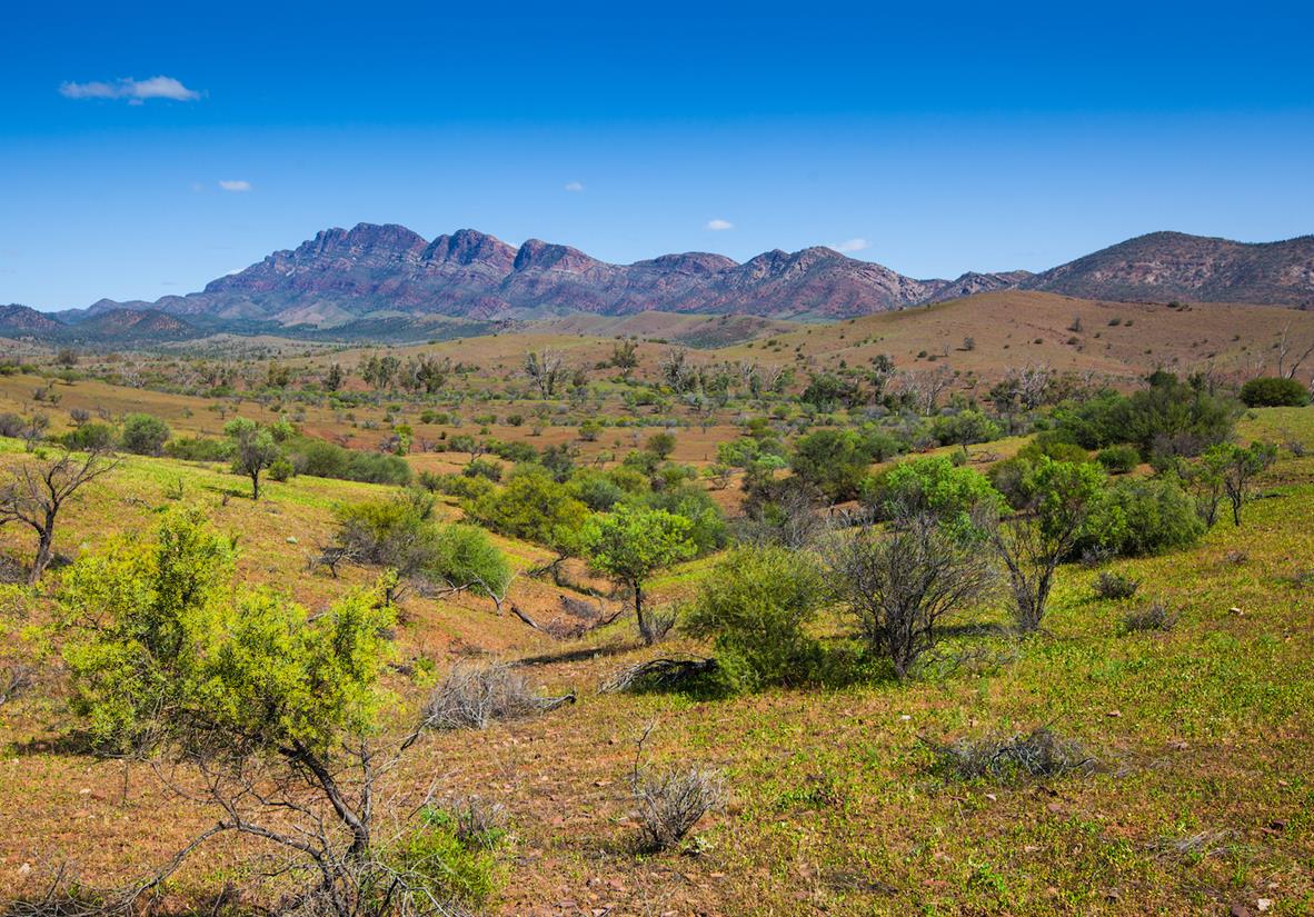 South Australia Flinders Ranges Walking Holiday Macs Adventure