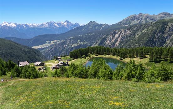 © Valle d'Aosta-Lago di Lod Chamois