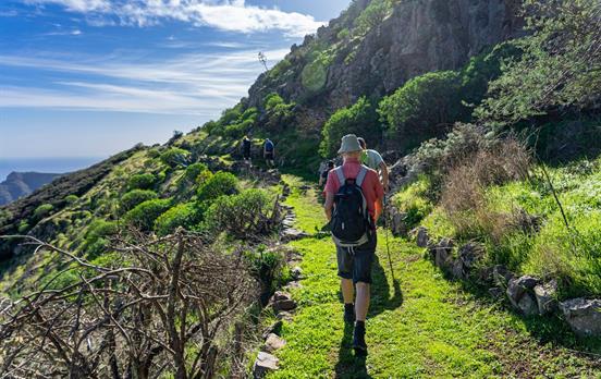 The verdant hillside terraces of La Gomera