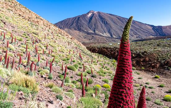 Views over Mount Teide