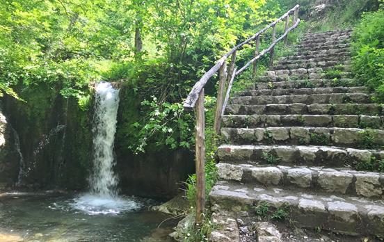 Green waterfalls next to the path