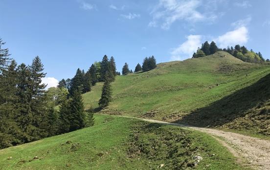 Easy Trails above Weggis