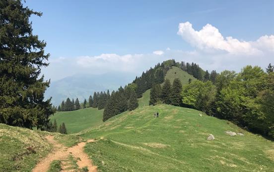 Easy Trails above Weggis