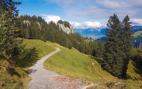 Peaceful easy-going paths