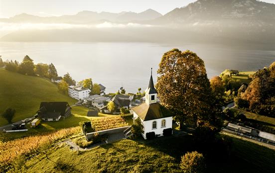 Gorgeous hillsides of Weggis