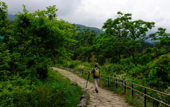 Wanderer zw. Magome-Tsumgao