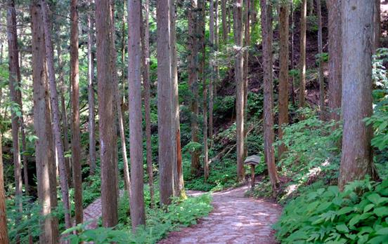 Nakasendo Weg