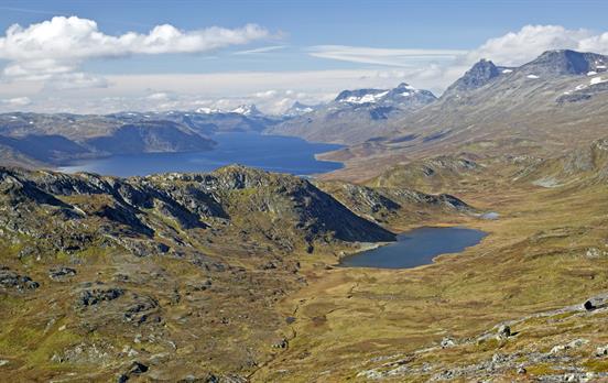 View from peak Synshorn