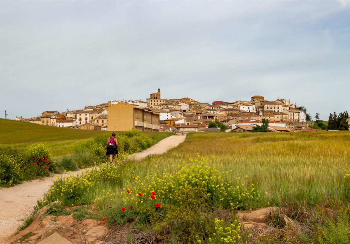Jakobsweg Die letzten 100 km in
