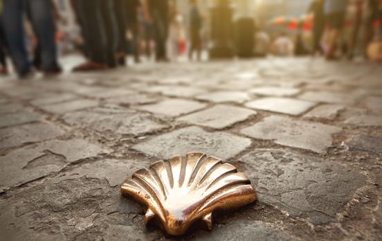 Scallop shells lead the way to Santiago