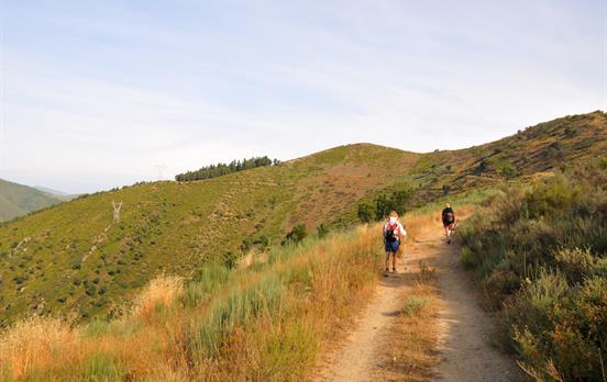 Pilgrims walking on the Camino
