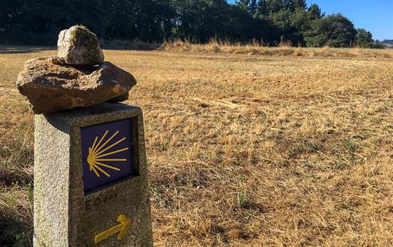 Official camino signage pointing the way