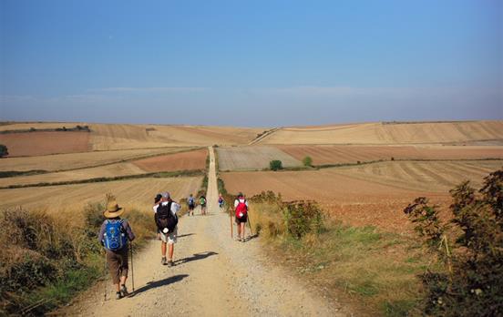 Walk the full Frances from St Jean to Santiago