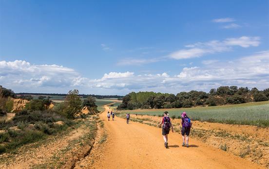 Expect a lot of varied terrain on the Camino