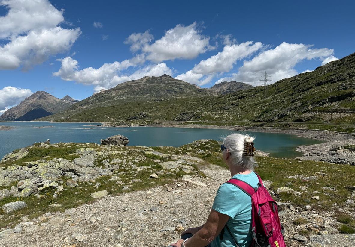 Bernina Bahn and Circular Walk to Alp Grum