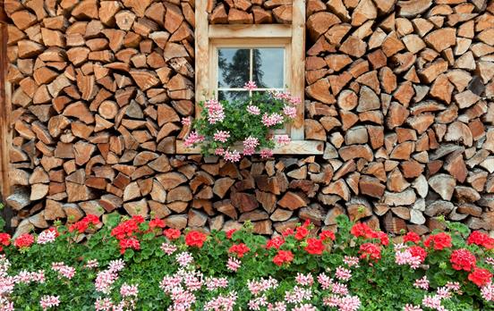 Piles of well stacked wood