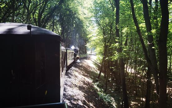 Fahrt mit dem Rasenden Roland