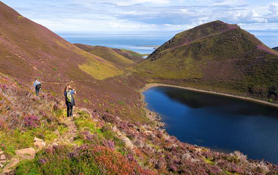 Walking in the purple heather by a loch