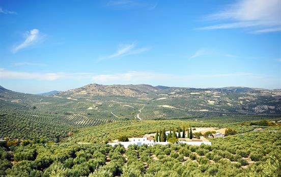 Der Nationalpark Sierras Subbéticas