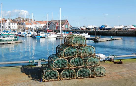 Hummerfangkörbe im Hafen von Anstruther