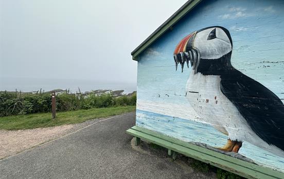 Puffin Mural