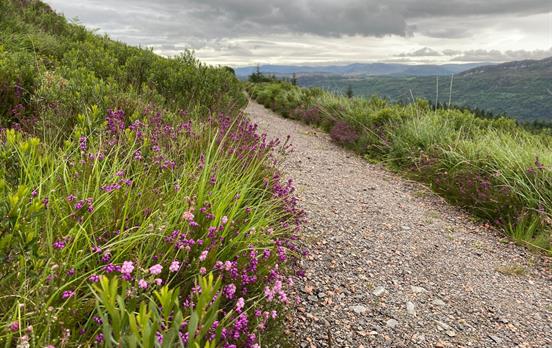 On the route to Invermoriston