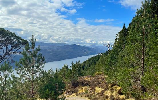 Blick auf Loch Ness