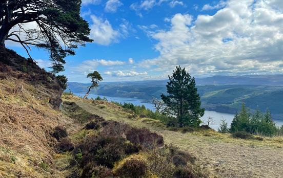 A beautiful early spring day