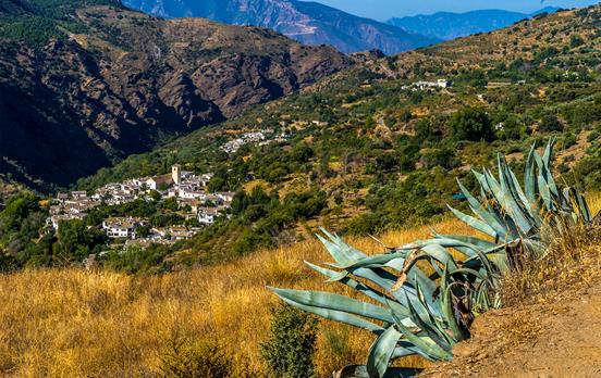 Warm auburn tones of the Sierra Nevada