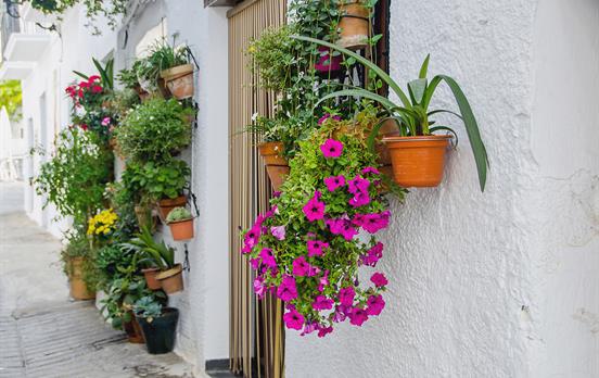 A typical white washed house paired with flowers