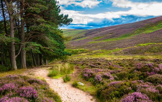 Explore the Cairngorms on good paths